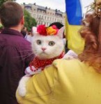 Kitty1.jpg