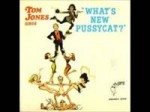 Tom Jones Whats New Pussycat[Low,480x360, Mp4].mp4