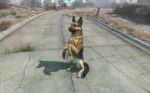 Fo4Dogmeatstrick.png