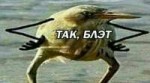 tak-blat.jpg