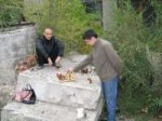 15039112032290.jpg