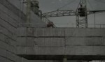 14818272042980.webm