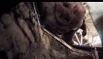 ДРУГ.webm
