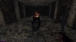 pidori.webm
