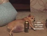 vLbAPiD6g1E.jpg
