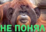 uVYFfmbeTQ0.jpg