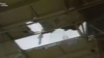 15189569051830.webm