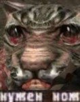 14597772768100.png