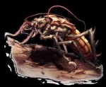 cockroach swarm.jpg