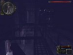 .webm