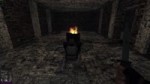 pidori.webm