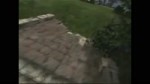 GAMEPLAY STALKER 2.mp4