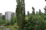 1355167814975.jpg