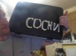 Сосни.jpg