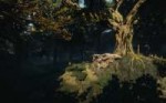 The Witcher 3 Screenshot 2018.06.08 - 01.03.58.21.png