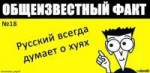  .jpg