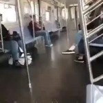 Dog on the train.mp4