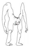15284406378720.png