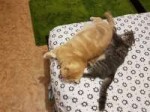20180606011314.jpg