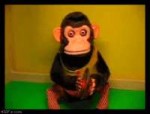 1441708703140046754.gif