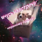 bS-ql68Vk9A.jpg