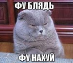 1349026643601.jpeg