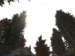 xr3da.EXE2018-06-23-18-23-34-425.jpg