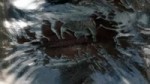 stalker end immortality.webm