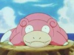 pokc3a9monlandslowpoke[1].png