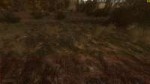 S.T.A.L.K.E.R.  Clear Sky Screenshot 2018.06.26 - 14.17.24.[...].png