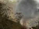  .webm