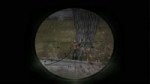 14639444249750.webm