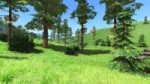 stalker summer.jpg