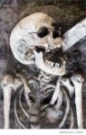 human-skeleton-stock-image-105610.jpg