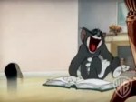 laughing cat.webm