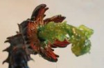 guildwars2wurms5byscrybe-d8agn58.jpg