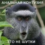 060y0.jpg