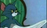 tom what.jpg