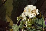 Gw2-64 2017-11-16 12-11-20-61.webm
