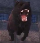 15313025580770.png