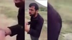 15282063629524.webm