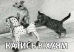 катись к хуям.jpg