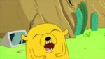 14987533344040.webm