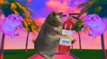 15295644340850.webm