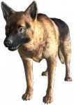 FO3DogDad.png