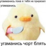 15270981565620.jpg