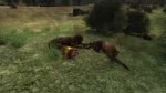 XR3DA 2018-07-17 21-40-43-125.jpg