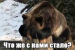 picturesanimals48.jpg