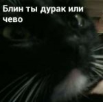 IMG894922.jpg