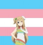 .jpg